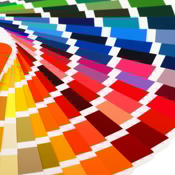 Color & Trim Samples